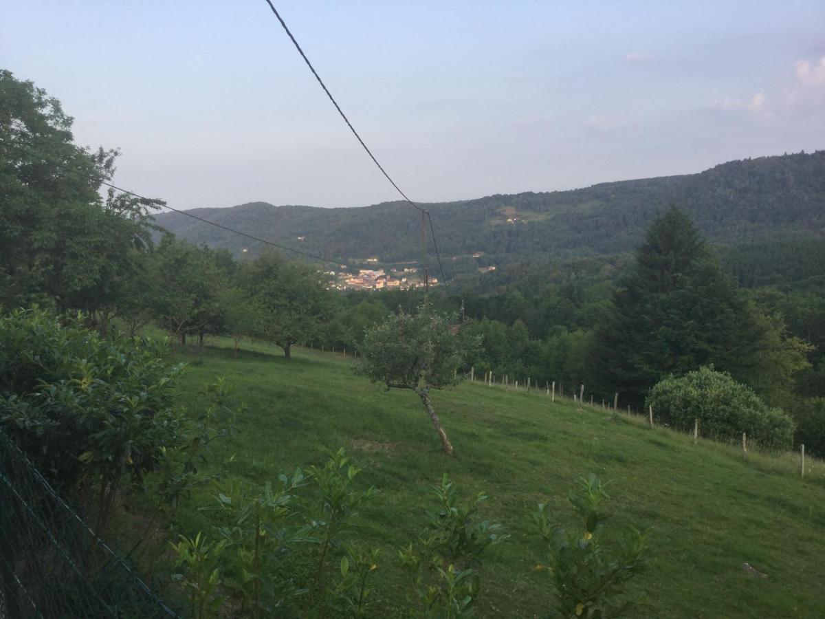 La Ferme De La-Haut B&B Le Haut-du-Them Εξωτερικό φωτογραφία