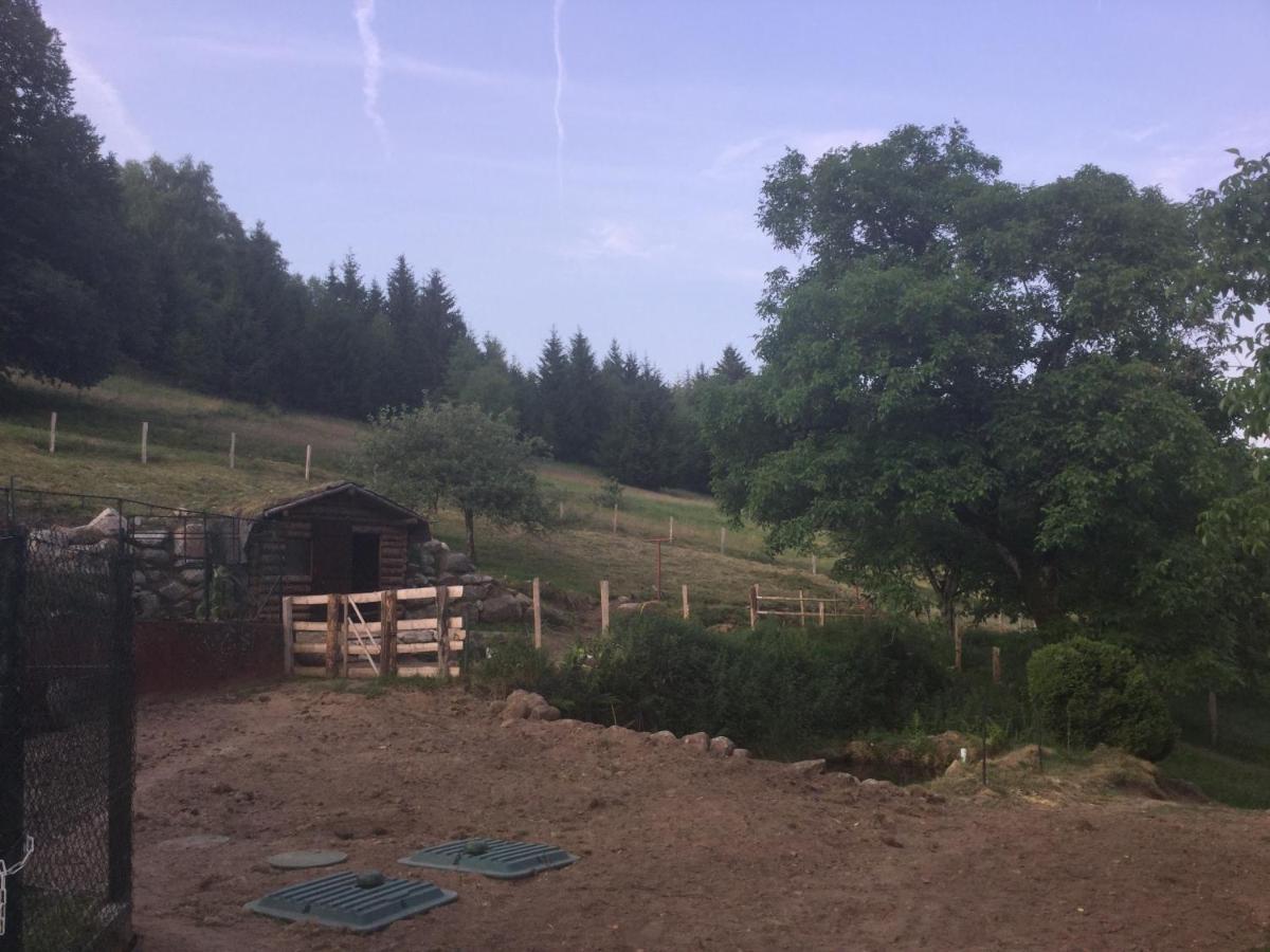 La Ferme De La-Haut B&B Le Haut-du-Them Εξωτερικό φωτογραφία